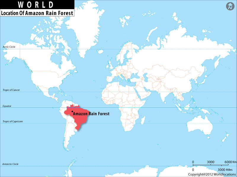 Amazon Rainforest Location Map 